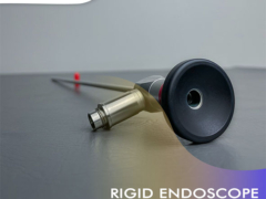 Rigid Endoscope